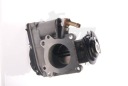 PAPILLON DES GAZ 12SKV014 SKVphoto 9