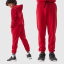 4F СПОРТИВНЫЕ БРЮКИ ДЛЯ МАЛЬЧИКОВ, ДЖОГГЕРЫ, ДЕТСКИЕ СПОРТИВНЫЕ БРЮКИ ВЛ. ВЛ.24