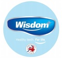 Ластик WISDOM для удаления зубных пятен