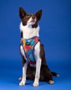 CHABA Postroj pre psov Guard Comfort Story III beztlakový M 1,6cm Aussie Veľkosť psa nešpecifikovaná
