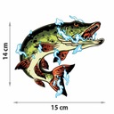 NAKLEJKA RYBA NA ŁÓDKĘ ŁÓDŹ AUTO 15 cm + GRATIS