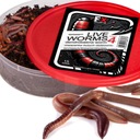 ЖИВЫЕ ЧЕРВИ БОЛЬШИЕ ДОЖДЯНЫЕ ЧЕРВИ РЫБАЛОЧНАЯ НАСАДКА РАЗМЕР 4 ДЛЯ РАЗЛИЧНОЙ РЫБЫ