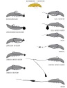Гумовий Libra Lures 4,5Cm 1 Szt 011 Hot