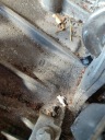 КОРОБКА ПЕРЕДАЧ BMW 2 ACTIVE TOURER (F45) 8644301 1.5L 2016  фото 9