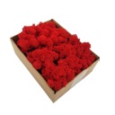 100г Хроботек Декоративный олений мох КРАСНЫЙ