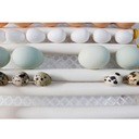 Automatický inkubátor na 16 kuracích vajec Značka žiadna značka