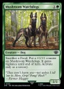 MtG: Грибные сторожевые псы (LTR)