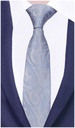 Жаккардовый мужской галстук с узором пейсли из стали GREG g126