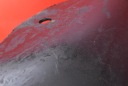 PASSAGE DE ROUE DROIT AVANT JEEP GRAND CHEROKEE 3 III WK 04-10photo 10