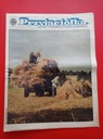 Еженедельник Przyjaciółka, № 17, 29 июля 1982 г.