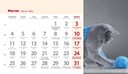 Календарь настольный на 2024 месяц стоячий 19,5х11см ONE DOT