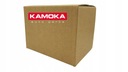 KAMOKA 7016196 CORREA DE CUÑA MULTICOSTAL 