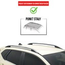 TURTLE RACKS ROOF CROWN FOR PEUGEOT CARGO ALL 1996 - 2007 VAN SREBRO photo 3 - milautoparts-fr.ukrlive.com