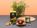 Ahmad Tea - Apricot - Morela herbata czarna Waga 40 g