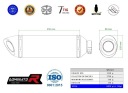 TRACER 9 / GT 2021 - 2024 СИСТЕМА ВИПУСКНИЙ ГЛУШНИК HP8 ЧОРНИЙ EX DOMINATOR  фото 7