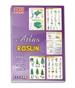 ATLAS ROŚLIN BIOLOGIA Ilustrowane Szkolne Visual 32str
