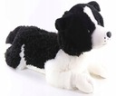 Kutya plüss Border Collie fekvő NAGYSZERŰ PLÜSS BABA Szuper minőség Márka Madej