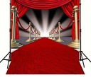 Фотофоны на стену со знаменитостями Red Vip Holly