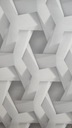 ОБОИ НА СТЕНЫ 3D ЭФФЕКТ КОТЕСА AS Creation