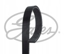 BELT MULTI-RIBBED /GATES/ 