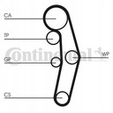 CONTINENTAL CTAM CT1028 РЕМЕНЬ ГРМ AUDI VW (12