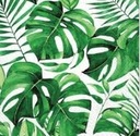 САЛФЕТКИ ДЛЯ ЛАП ТРОПИЧЕСКИЕ ЛИСТЬЯ 20 ШТ.
