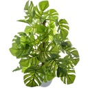 МОНСТЕРА ИСКУССТВЕННОЕ РАСТЕНИЕ В ЦВЕТАХ В ЦВЕТАХ ЛИСТЬЯ 30