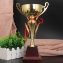 Трофеї 38.5Cm
