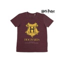 Tričko Harry Potter Rokfortské šortky Detská súprava HP 140 Počet produktov v sade 2 ks