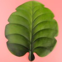 Искусственные листья монстеры, тропические пальмовые листья B