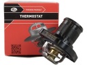 THERMOSTAT TH21689G1/GTSphoto 14