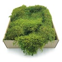 200 г мохового наполнителя FLAT для мохового мха