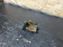TENDEUR CHAÎNES DISTRIBUTION BMW 3 E46 323I M52B25TU 170KM 1726305photo 14
