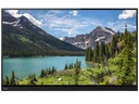 Телевизор TOSHIBA 55T6863DG 55 дюймов UHD 4K SMART WI-FI DVB-T2