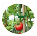 Zapinki do pomidorów mocowania roślin warzyw 50szt średnica 3cm klipsy Marka Bradas