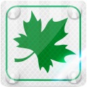 ЗЕЛЕНЫЙ ЛИСТ Светоотражающий знак для молодого водителя