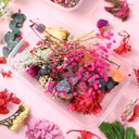 SUSZONE KWIATY do wazonu susz florystyczny bukiet | PRÍRODNÉ | 2 pudličky EAN (GTIN) 4894931000132