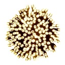 РОЖДЕСТВЕНСКИЕ ЕЛОЧНЫЕ ОГНИ 300 СВЕТОДИОДНЫХ ОГНИ ПРОГРАММАТОР 22 м РОЖДЕСТВЕНСКИЕ ЕЛОЧНЫЕ ОГНИ