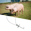 Свинофермер, ловец, контрольный столб для животных, сельскохозяйственное оборудование, сталь