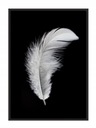 КАРТИНА-ПОСТЕР В РАМКЕ 53х73 см Перо P841