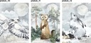 Sada 3 plagátov zvieratá les forest legendy A4 Dĺžka 29.7 cm