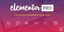 Elementor PRO + дополнительные бонусы для Elementor