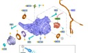 MOTOR DIFERENCIAL PARTE TRASERA FORD KUGA MK3 ESCAPE 2020 