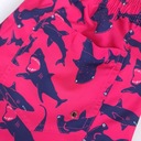 Шорты SWIM SHORTS Мужские шорты QUICK-DRY PREMIUM размера 205c. л