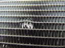 RADIATEUR EAU SUPPLÉMENTAIRE AUDI Q5 II 80A 80A145804Kphoto 10