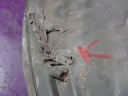 TOYOTA YARIS I RESTYLAGE LIFT 03-05 PHARE AVANT GAUCHE PROJECTEUR GAUCHE 811500D08000photo 8