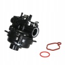 REMPLACEMENT CARBURATEUR POUR BRIGGS STRATTON 550EX 09P702 9P702 MOTEURS ZASTEPUJAphoto 9