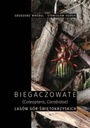 КАРБИДЫ (COLEOPTERA, CARABIDAE) ЛЕСНЫЕ... ЭЛЕКТРОННАЯ КНИГА