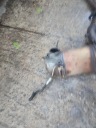 CATALYSEUR FAP VOLKSWAGEN VW JETTA VI 5C 1.6TDI 1K0131723AGphoto 12