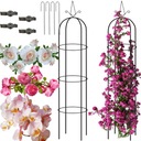 КОЛОННА САДОВАЯ ПЕРГОЛА, АРКА РОЗ ЦВЕТЫ СОЗДАТЕЛИ